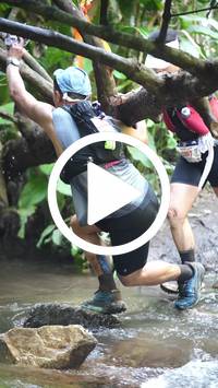 BIB:  <button type="button" onclick="openModal(27824368)" class="btn btn-primary btn-sm float-right" data-toggle="modal" data-target=".modal-high-quality">
                <i class="fa fa-download"></i> Download
                </button>